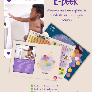 E-book Zindelijkheid