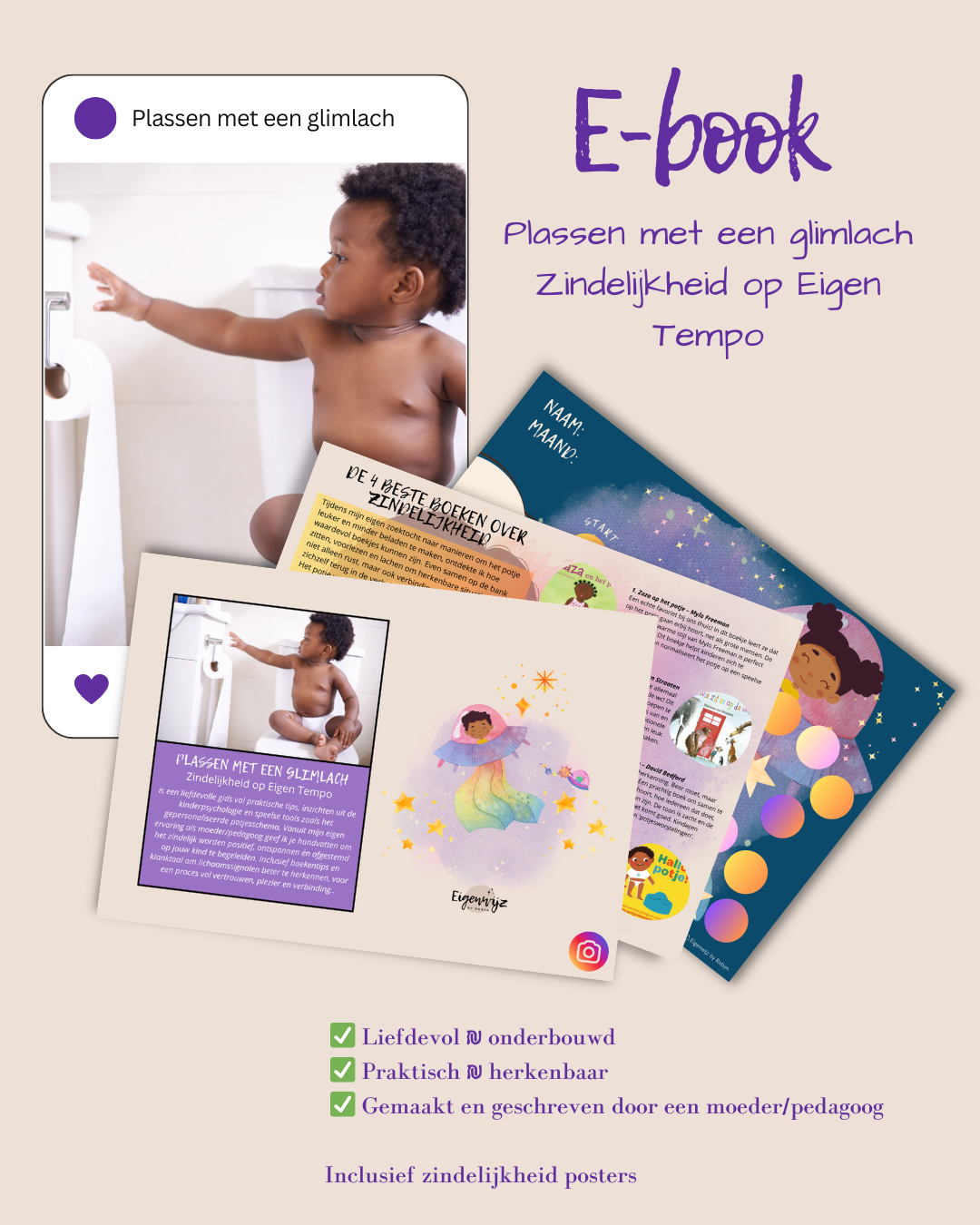 E-book Zindelijkheid